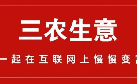 三农生意,照样年入一百多万。