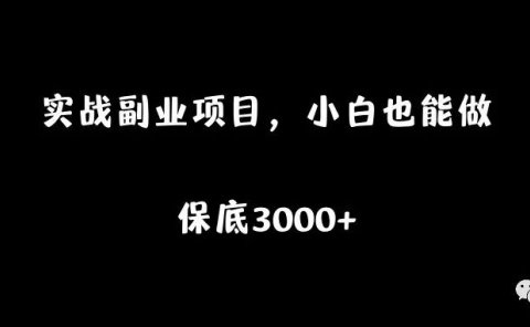 实战副业项目,小白也能月入3000+
