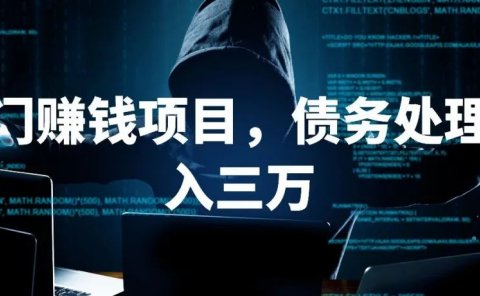 冷门蓝海赚钱项目,债务处理月入五万