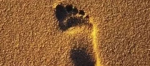 国外网赚：撸美金的项目，单号每月可以撸150美刀，可批量操作