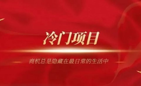 不起眼的冷门暴利项目，零门槛一个人就能搞定