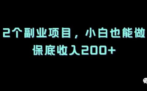 2个虚拟资源副业项目,小白也能做,保底收入200+