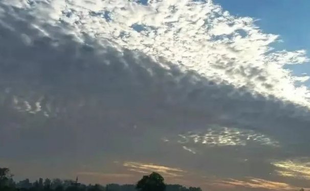 自媒体平台读书,一个月赚了9000多,他是怎么做到的?