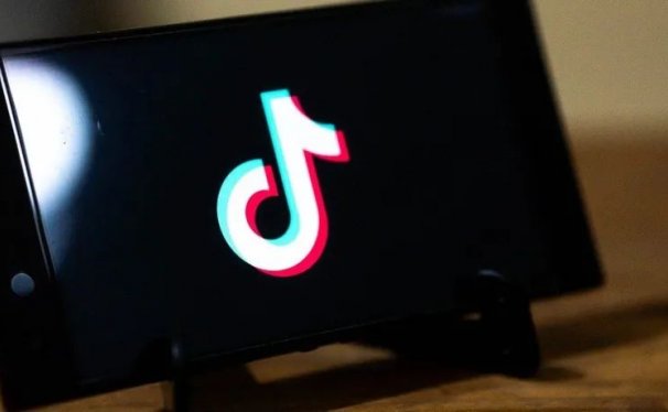 无脑执行，3个月变现12万，普通人可以复制的蓝海赚钱项目