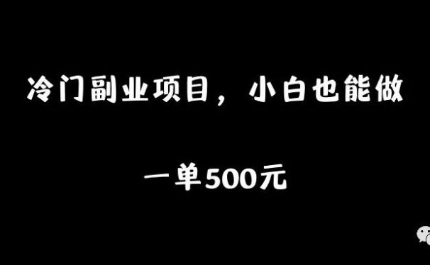冷门副业项目,小白也能做,一单500元