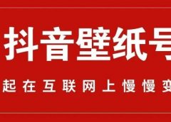 抖音壁纸号全新玩法详解,抖音内部即可直接变现。