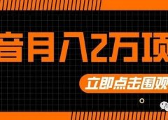 抖音月入2万的项目!玩着玩着就把钱挣了