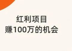 红利期项目,赚100万的机会,看一看+短视频项目