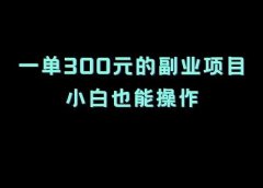 一单300元的副业项目,小白也能操作
