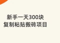新手一天300块,复制粘贴搬砖项目