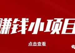 赚钱小项目!轻松月入500