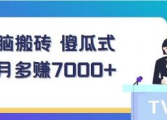 国外影视解说搬运项目:无脑搬砖,傻瓜式,每月多赚7000+