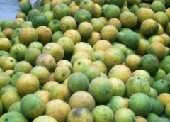 这些项目的利润高到不敢相信,但是懂行的人很少,你敢做吗?