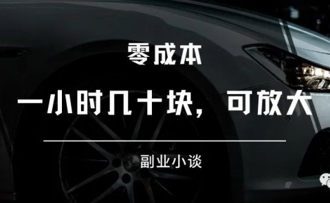 游戏陪玩项目:一小时几十块,可放大操作