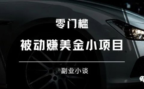 一个被动赚美金的小项目！