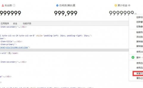 录炫富视频精准引流变现项目分享