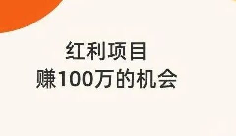 红利期项目,赚100万的机会,看一看+短视频项目