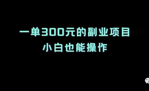 一单300元的副业项目,小白也能操作