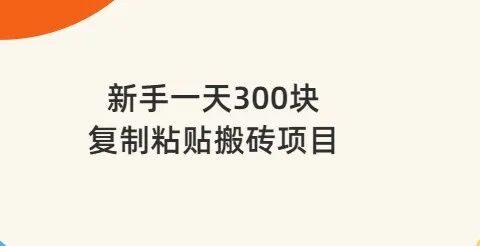 新手一天300块,复制粘贴搬砖项目