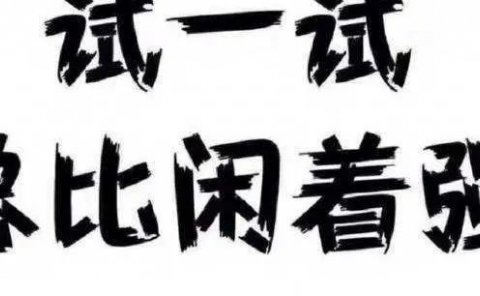 一个月变现4万，小白也可复制的项目