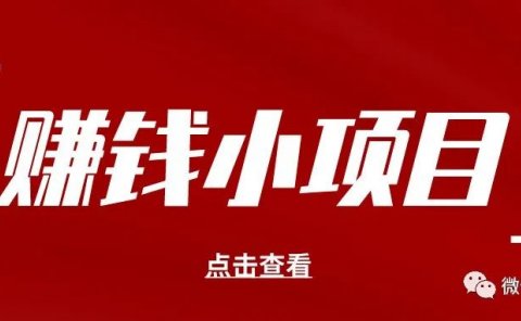 赚钱小项目!轻松月入500