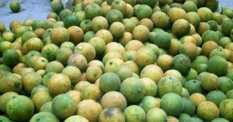 这些项目的利润高到不敢相信,但是懂行的人很少,你敢做吗?