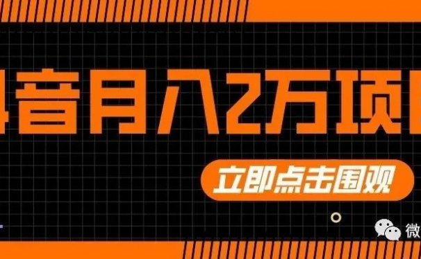 抖音月入2万的项目!玩着玩着就把钱挣了