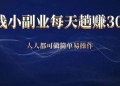 0成本捡钱小副业，每天趟赚300+