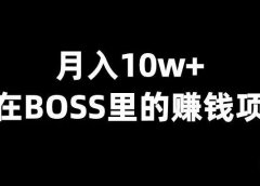月入10w+，藏在BOSS直聘里的赚钱项目