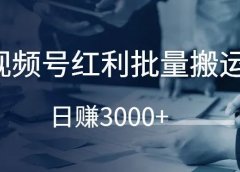 视频号红利批量搬运，日赚3000+！