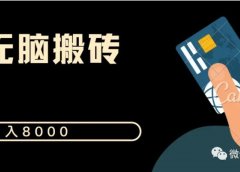 月入8000 拼多多自动发单项目 无脑搬砖