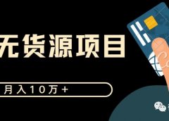 月入10万+ 虚拟无货源项目 新手可操作