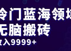 冷门蓝海领域，无脑搬砖，收入9999+