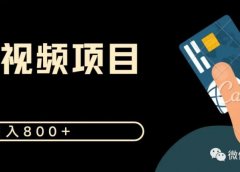 日入800+ 合集搬运中视频项目 新手无脑搬运