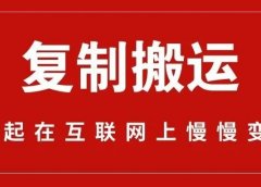 复制搬运,视频带货变现十万+。