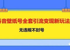 抖音壁纸号全套引流变现新玩法