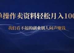 简单操作卖资料,轻松月入10000