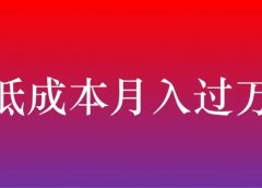 低成本月入过万的项目
