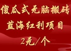 傻瓜式无脑搬砖，蓝海红利，2元/个