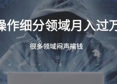 虚拟产品操作细分领域，月入上万