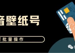 零成本项目 抖音壁纸号 可批量操作