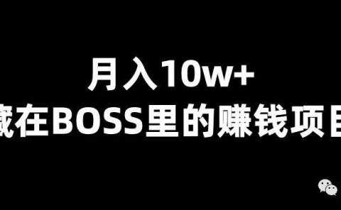 月入10w+，藏在BOSS直聘里的赚钱项目