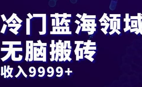 冷门蓝海领域，无脑搬砖，收入9999+