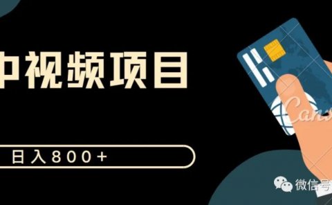 日入800+ 合集搬运中视频项目 新手无脑搬运