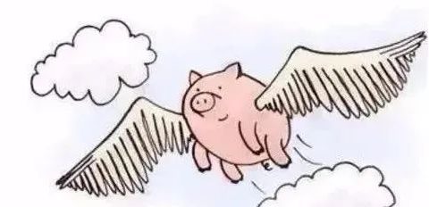 业余教成人识字，年入三十多万