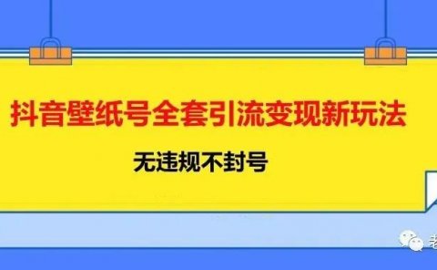 抖音壁纸号全套引流变现新玩法