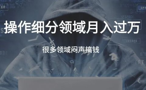 虚拟产品操作细分领域，月入上万