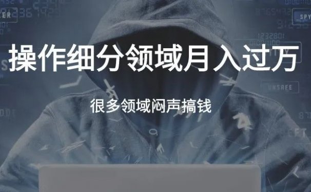 虚拟产品操作细分领域，月入上万