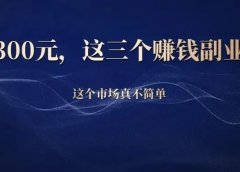 日入300块,这三个赚钱小副业太厉害