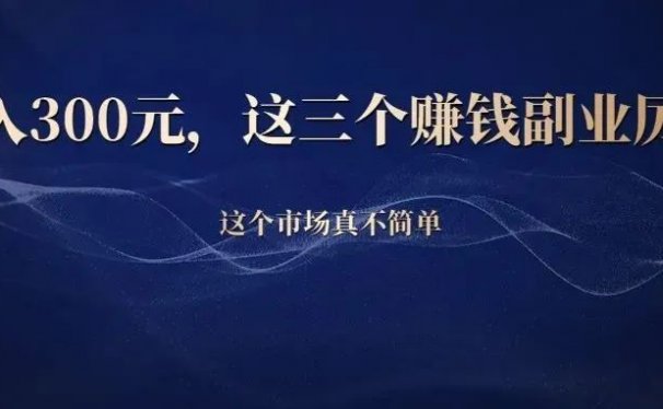 日入300块,这三个赚钱小副业太厉害